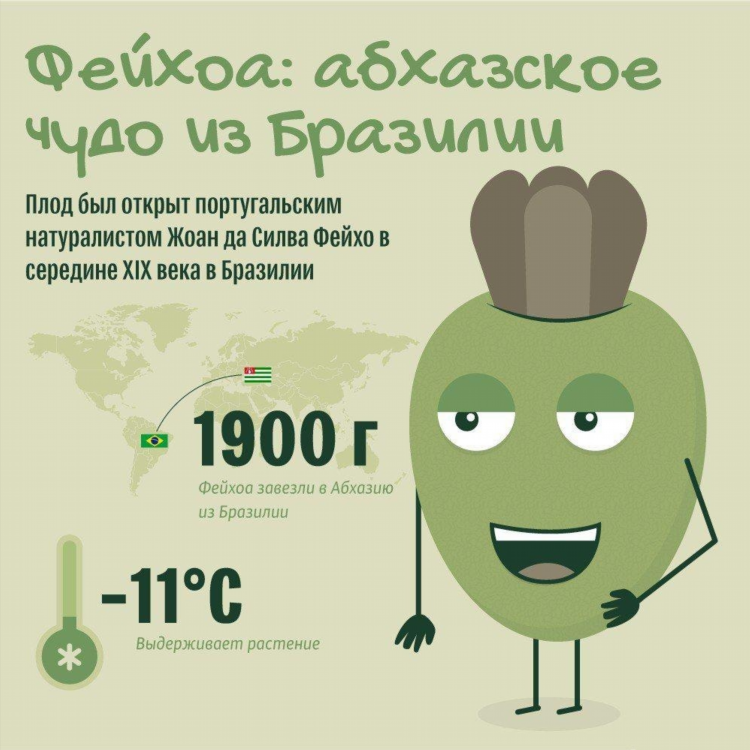 Абхазская доска объявлений