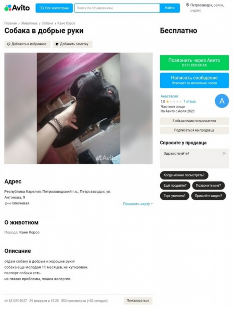 Авито бесплатные объявления кемерово животные