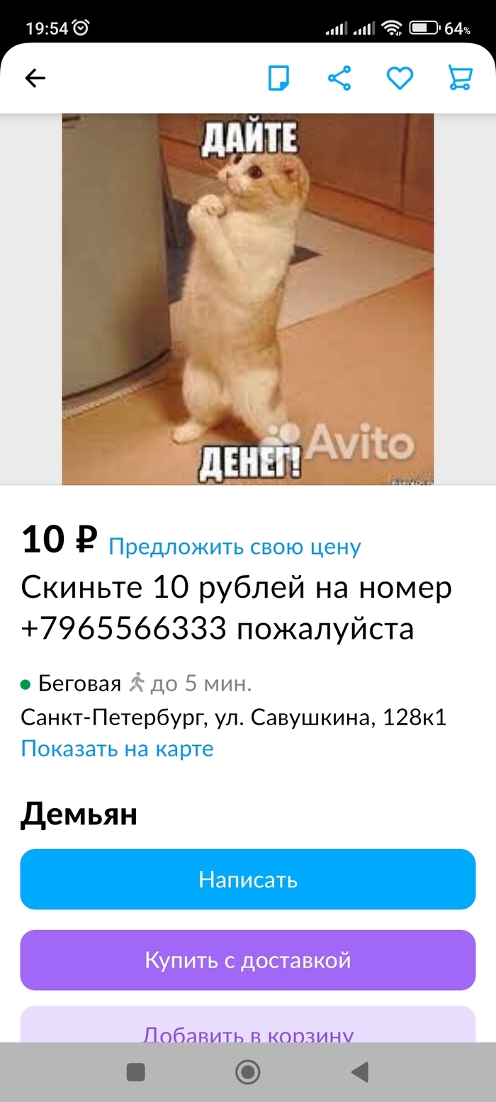Авито спб и лен обл бесплатные объявления доска объявлений спб