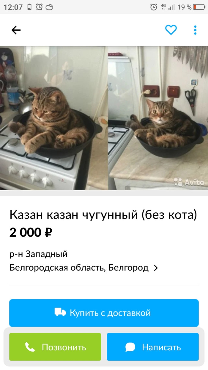 Авито в белгороде бесплатные объявления