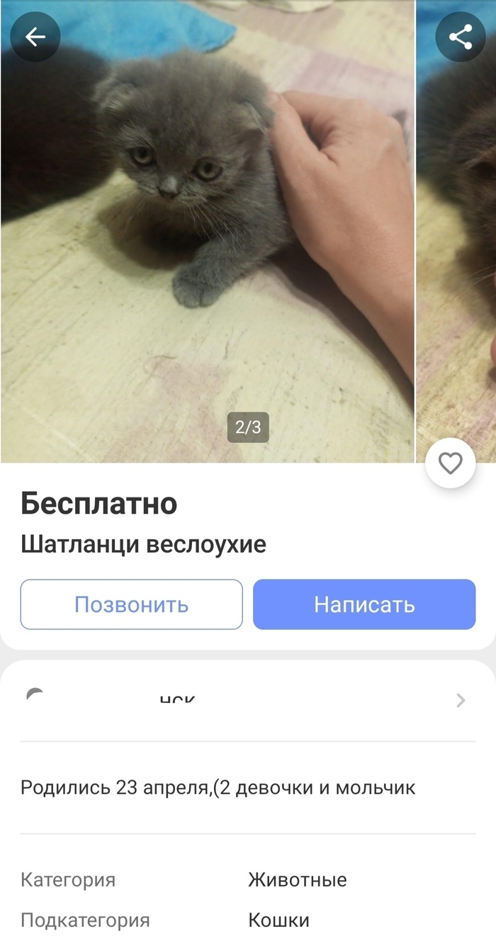 Доска бесплатных объявлений саратовская область одноклассники