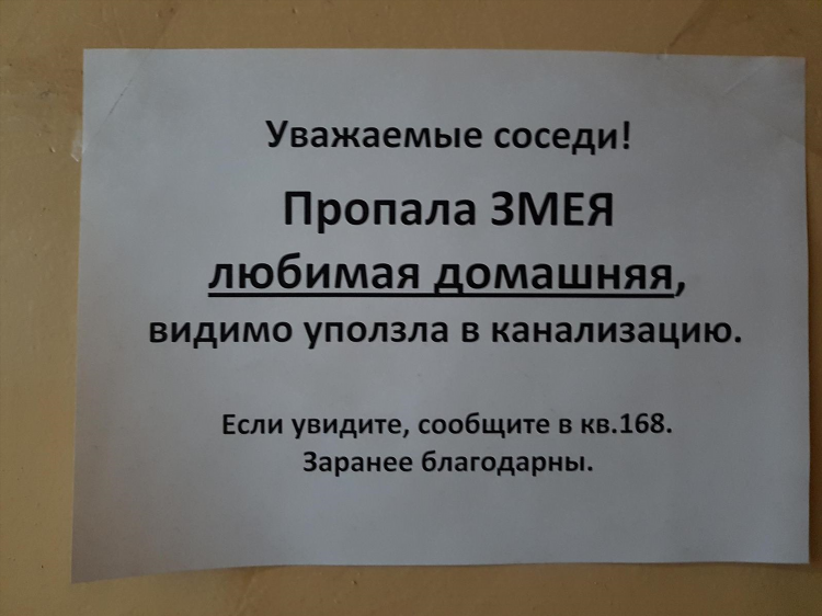 Доска объявлений пресмыкающиеся