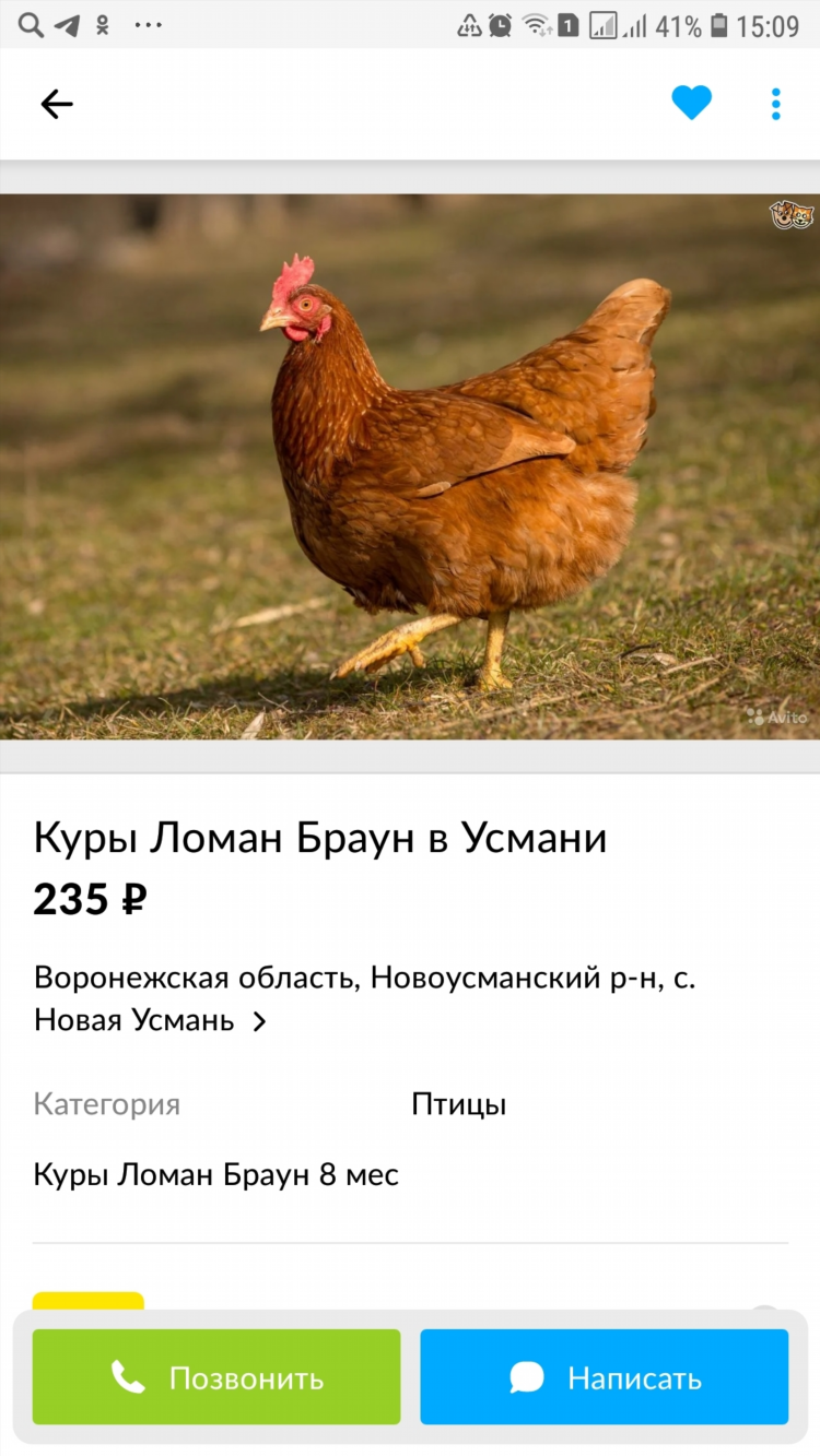 Гатчинская доска объявлений авито