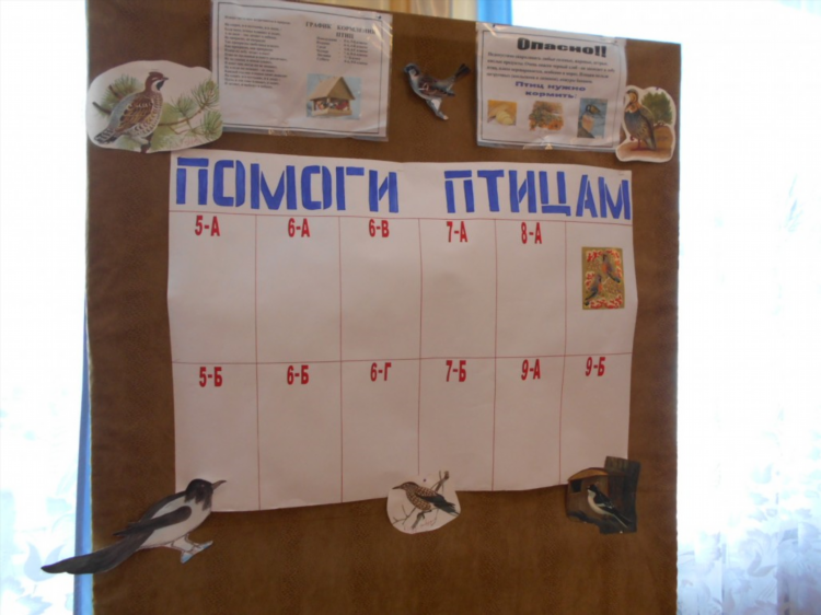 Город амурск доска объявлений