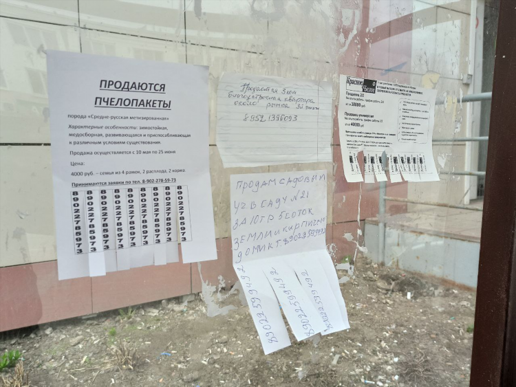 Как лучше расклеить объявления