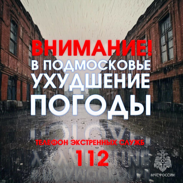 Нема кировская область в контакте объявления