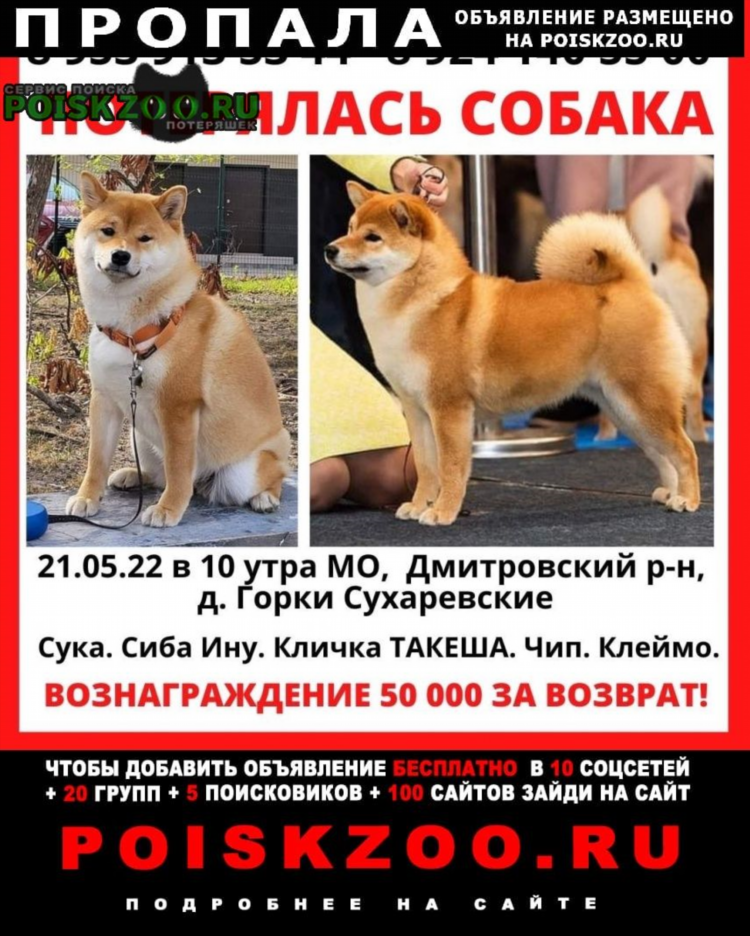 Объявления дмитров доска объявлений