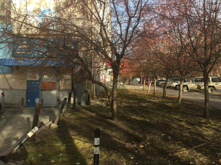 Объявления недвижимости екатеринбург
