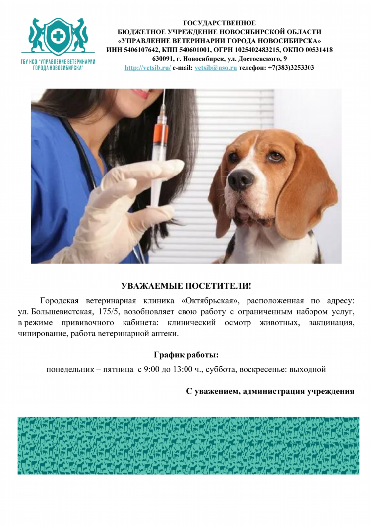 Объявления собаки новосибирск доска объявлений