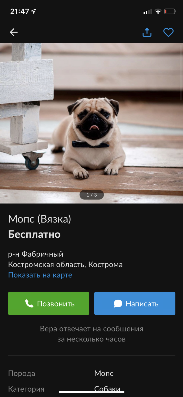 Подать объявление на авито бесплатно кострома