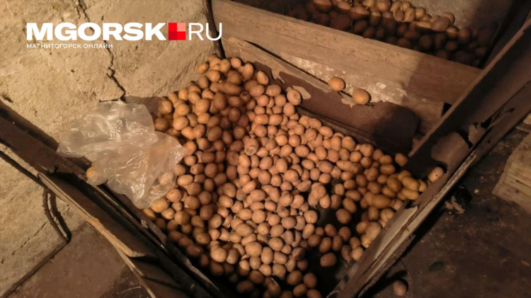 Продам картошку объявление