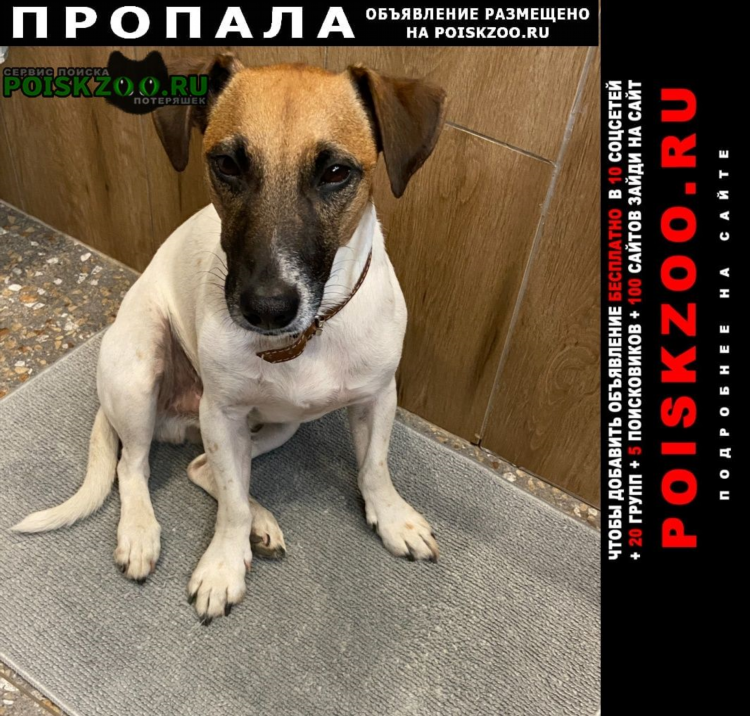 Разместить объявление нижний новгород