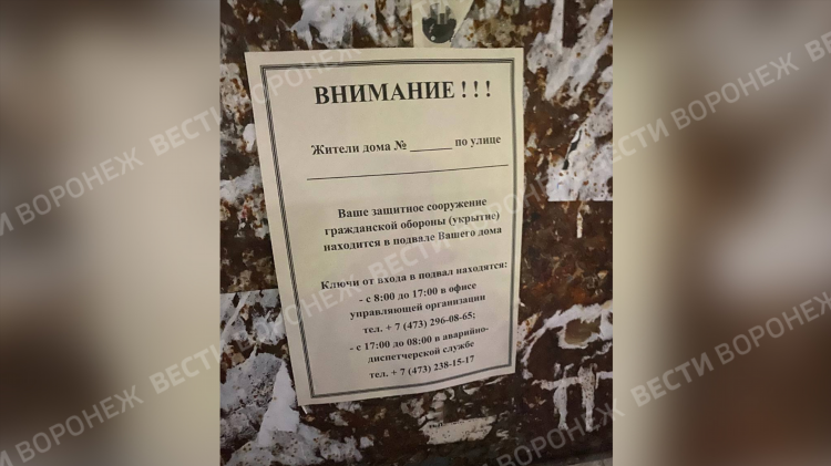 Русская доска воронежа объявлений
