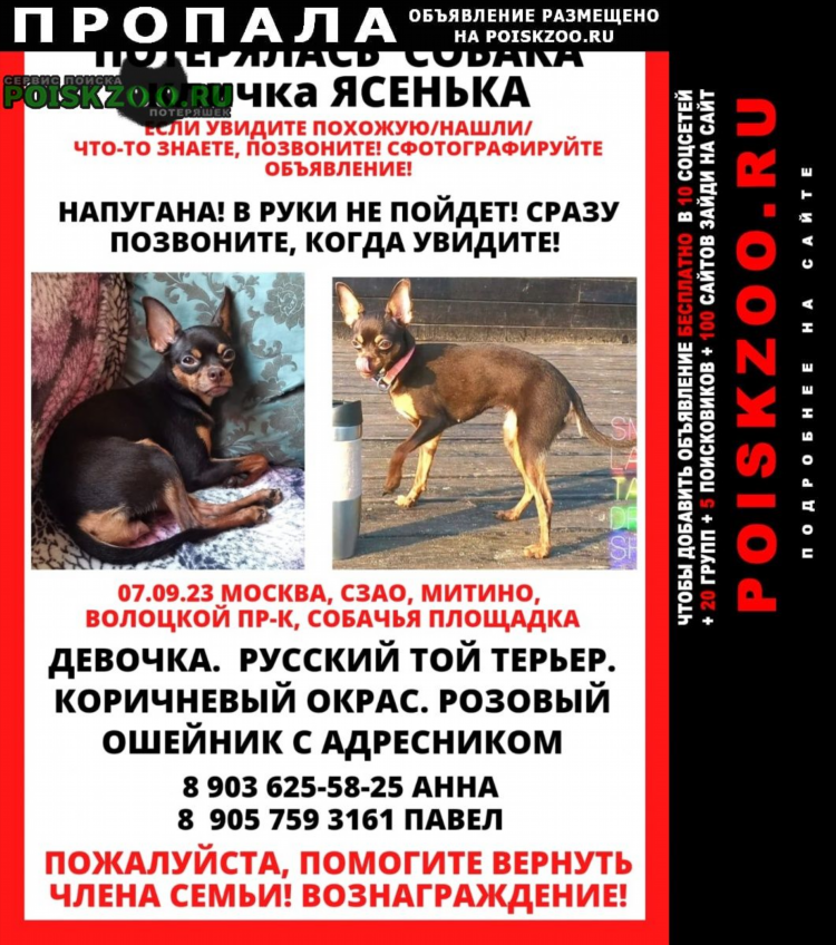 Сайт знакомств русская доска объявлений