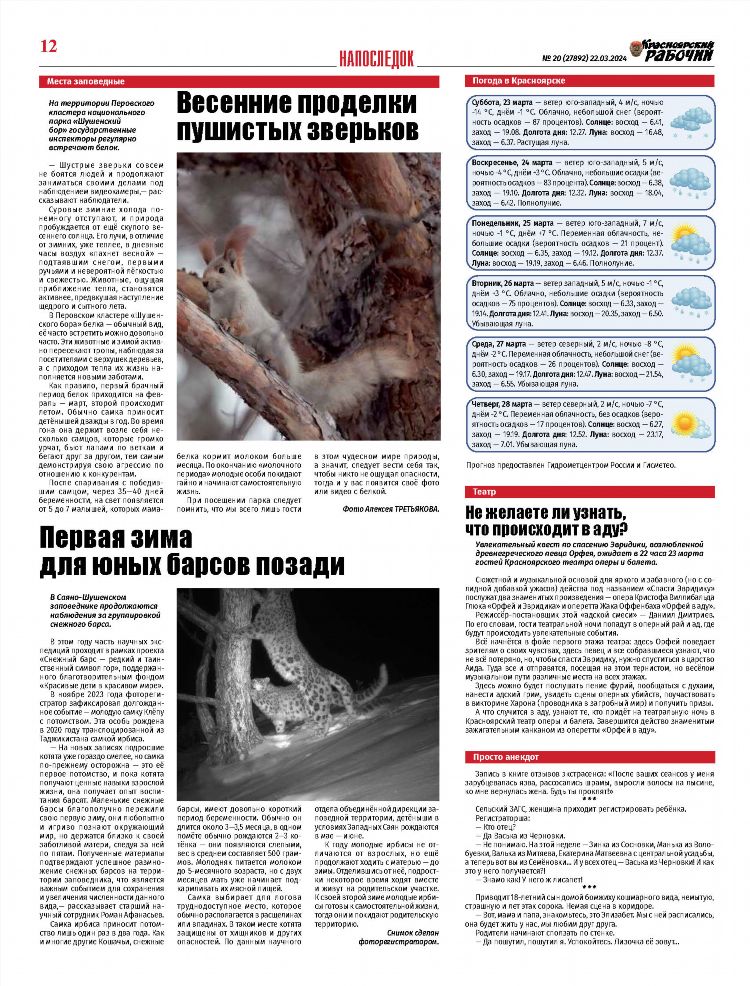 Шушенское газета курьер объявления